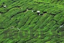乐鱼体育在线登录-乐鱼体育，在线登录的便捷体验与平台特色解析