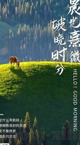 微信牛牛几秒抢庄最好-微信牛牛几秒抢庄最佳策略